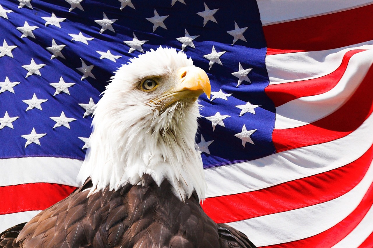 eagle, america, flag-219679.jpg